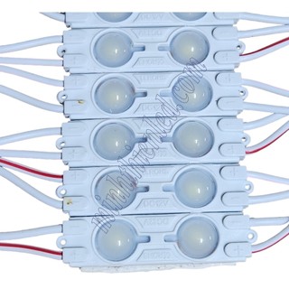 100 Module LED Hắt 2 bóng 4211mm(5 Dây 20module)cùng màu 6011