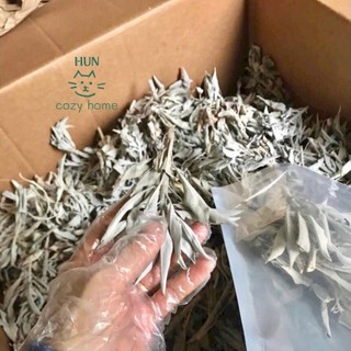 Lá xô thơm - dùng thanh tẩy xông nhà