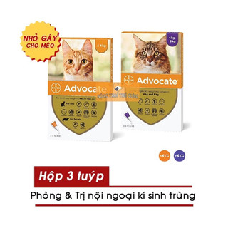Nhỏ gáy trị ve rận advocate cho mèo