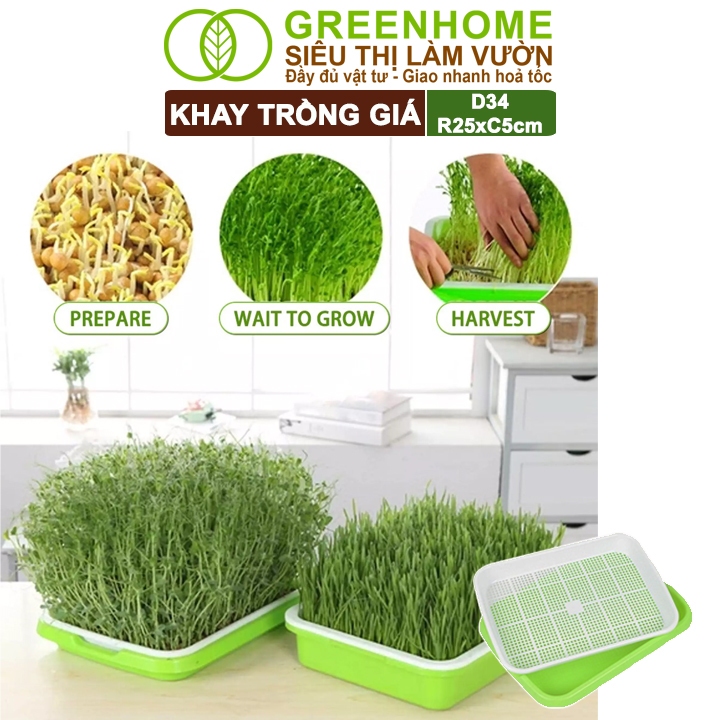 Khay Trồng Rau Greenhome, D34xR25xC5cm, Nhựa Nguyên Sinh, An Toàn, Chuyên Trồng Giá, Rau Mầm Tại Nhà, Không Cần Đất