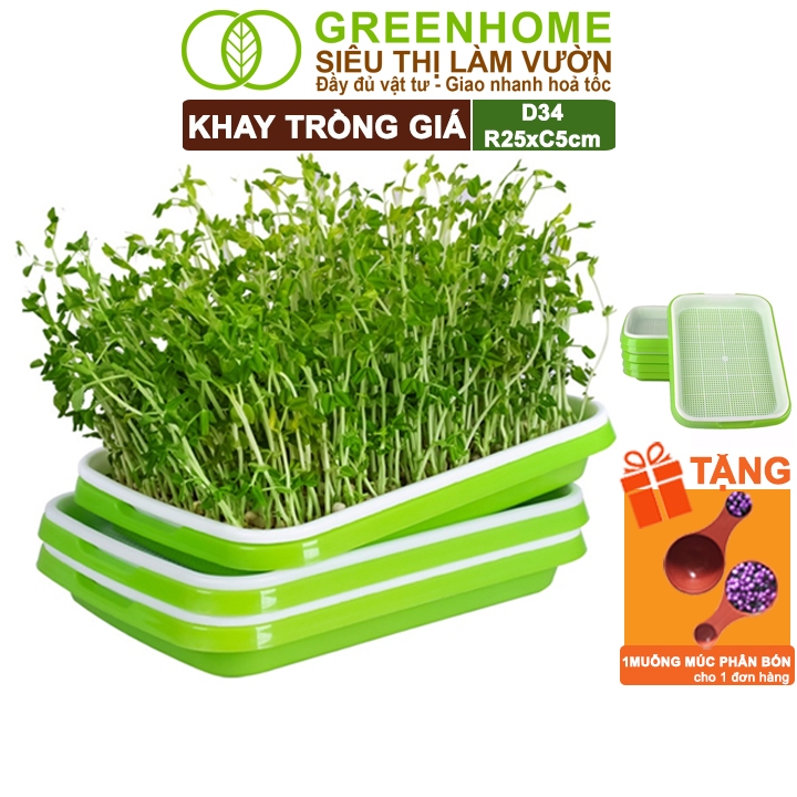 Khay Trồng Rau Greenhome, D34xR25xC5cm, Nhựa Nguyên Sinh, An Toàn, Chuyên Trồng Giá, Rau Mầm Tại Nhà, Không Cần Đất