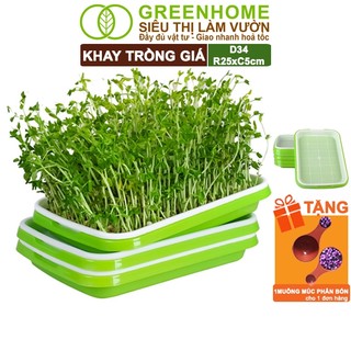 Khay Trồng Rau Greenhome, D34xR25xC5cm, Nhựa Nguyên Sinh, An Toàn, Chuyên Trồng Giá, Rau Mầm Tại Nhà