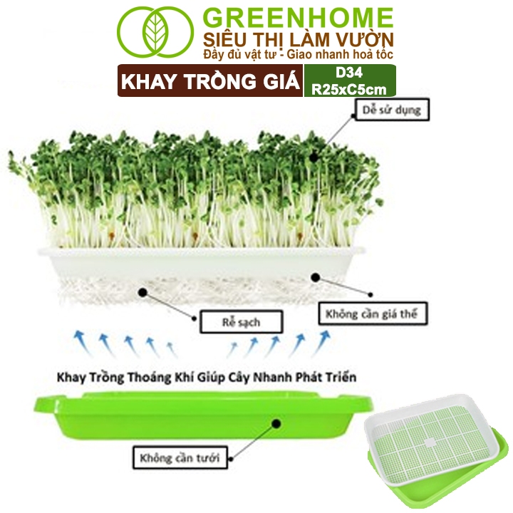 Khay Trồng Rau Greenhome, D34xR25xC5cm, Nhựa Nguyên Sinh, An Toàn, Chuyên Trồng Giá, Rau Mầm Tại Nhà, Không Cần Đất