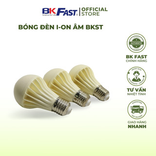 Bóng Ion Âm BKST Làm Sạch Không Khí Khử Mùi, Khử Bụi, Khử Khuẩn (ĐH Bách khoa Hà Nội)