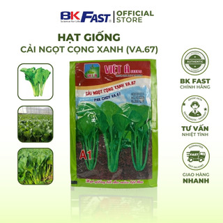 Hạt Giống Cải Ngọt Cọng Xanh BKFAST Kháng Sâu Bệnh Giòn Ngọt Chậm Trổ Bông Thích Nghi Tốt