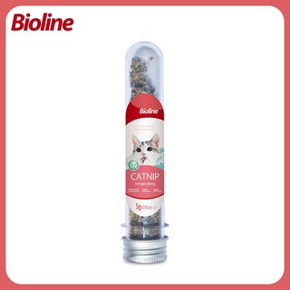 CATNIP - CỎ BẠC HÀ CHO MÈO - CHỌN LOẠI