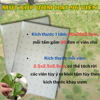 (Combo 3 miếng) Mút xốp ươm hạt loại 96 viên, ươm hạt nhanh, trồng thuỷ canh (Vườn Sài Gòn)