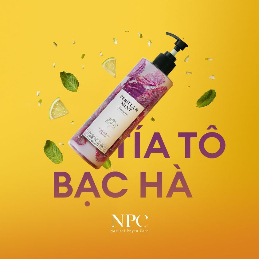 Dầu Gội SHSO Beauty Phyto Biotic Tía Tô & Bạc Hà Chăm Sóc Tóc Bồng Bềnh, Chắc Khỏe, Kích Thích Mọc Tóc - Chai 480ml