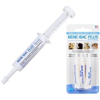 Men Tiêu Hóa Cho Chó Mèo Bene Bac Plus