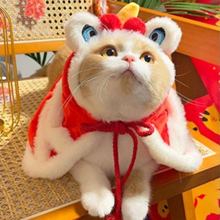 [Clip thật] Áo khoác múa lân Tết cho chó mèo