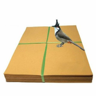 Giấy lót lồng chim chào mào giấy lót lồng chim vuông đủ kích cỡ 1kg