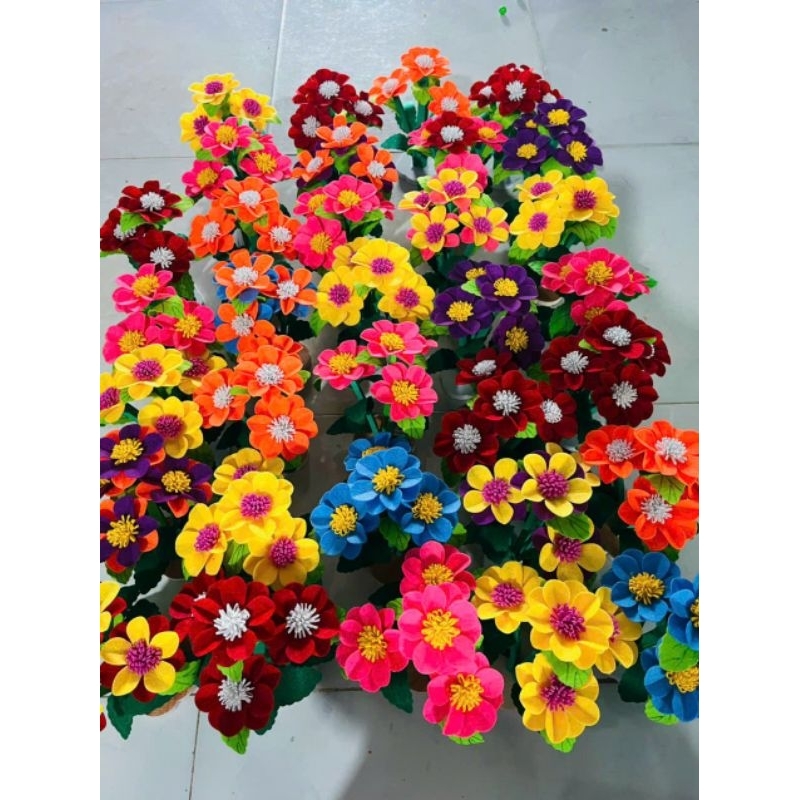hoa khóm các loại