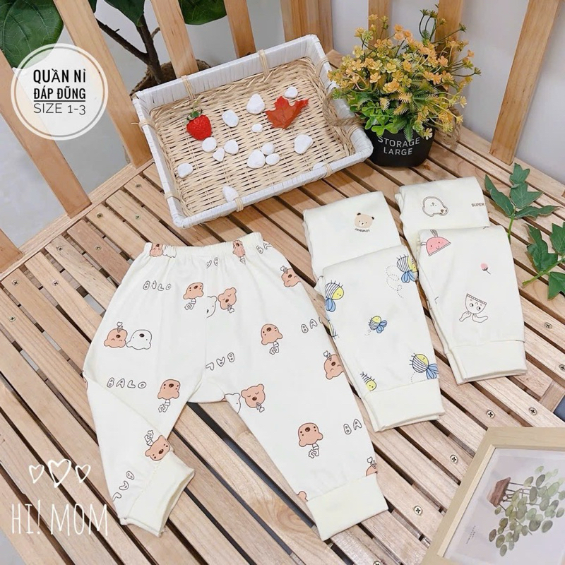 Combo 5 Quần Dài Nỉ Hàn Họa Tiết Ong Gấu Cotton Vải Mặc Thu Đông VT-MVkids Cho Bé