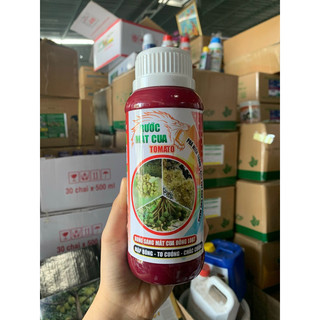 Rước mắt cua Tomato