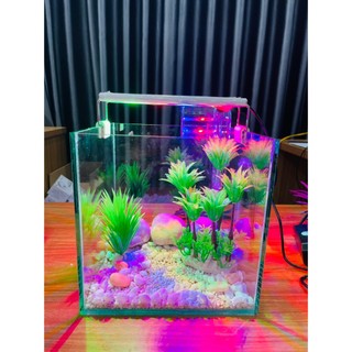 Bể Cá Mini kích thước 20cm COMBO đầy đủ giá rẻ chọn mẫu
