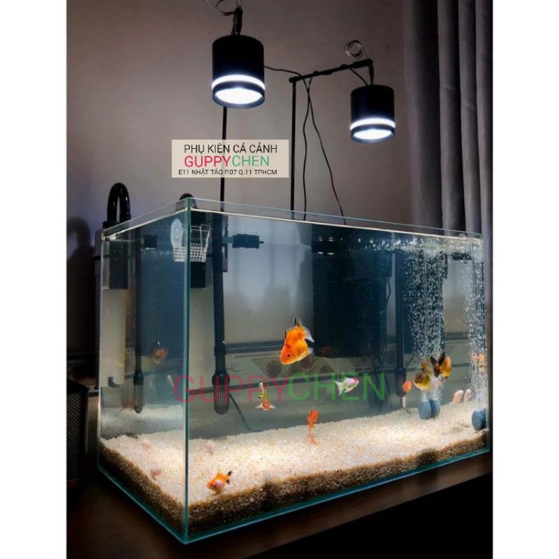 Đèn Rọi Siêu Sáng - Hiệu KaoKui F06  - 3 Chế Độ Màu - Dùng Cho Hồ Thủy Sinh Và Hồ Biotop- KK F06