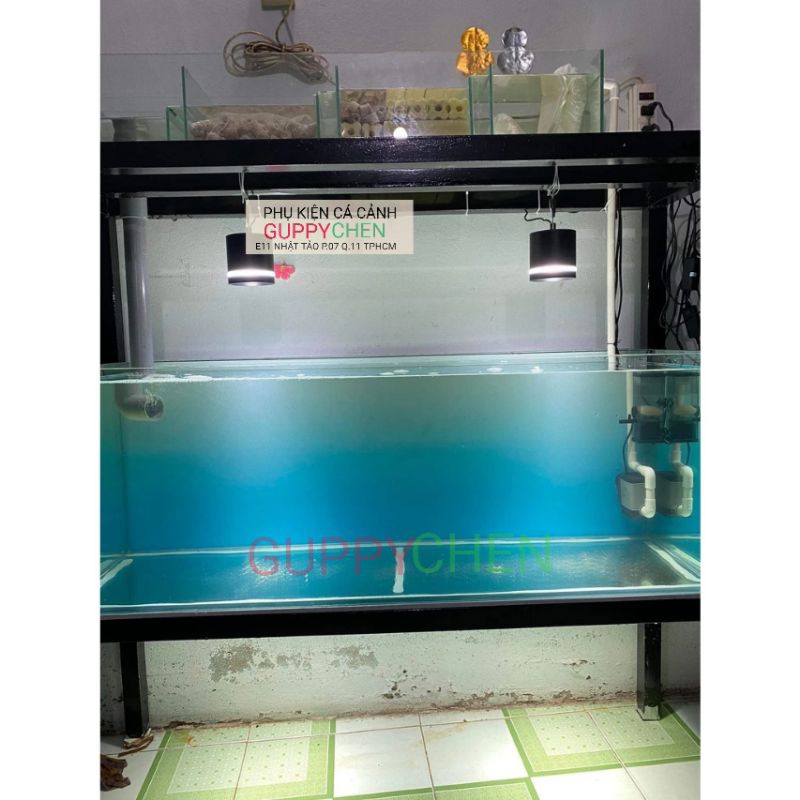 Đèn Rọi Siêu Sáng - Hiệu KaoKui F06  - 3 Chế Độ Màu - Dùng Cho Hồ Thủy Sinh Và Hồ Biotop- KK F06