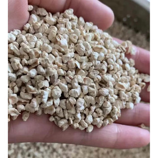 5Kg Cùi Bắp / Lõi Bắp lót chuồng cho hamster , nhím , rồng nam mỹ