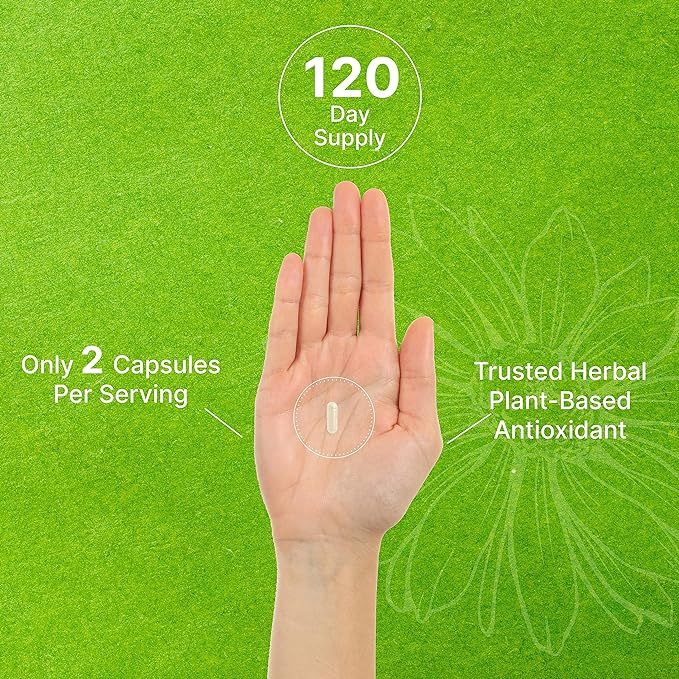 Deal Supplement Apigenin 100mg - Viên uống hỗ trợ giấc ngủ, tim mạch, chống viêm và chống oxy hóa 240 viên