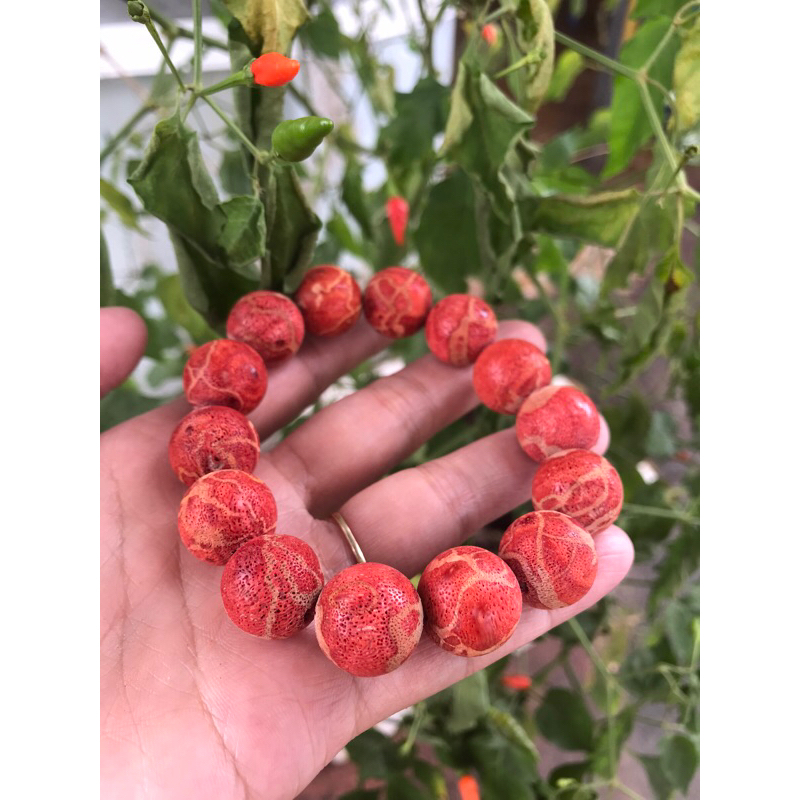 vòng tay  san hô đỏ mộc