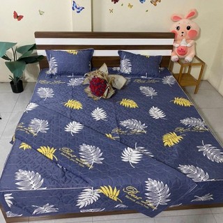 (Chăn hè, chăn đông) Vỏ chăn trần bông, vỏ mền lồng được ruột 1m8x2m - Hàng loại 1 dày dặn, chất siêu đẹp [Lá vàng]