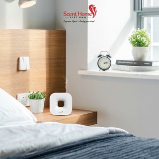 Combo DIAMOND cho phòng khách (Máy tỏa hương SH-LUX + 50ml tinh dầu Nhóm DIAMOND)