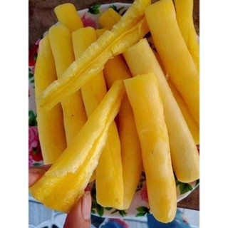 Cây giống mì thái vàng ảnh thật số 3