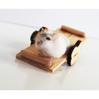 Bập bênh gỗ cho hamster