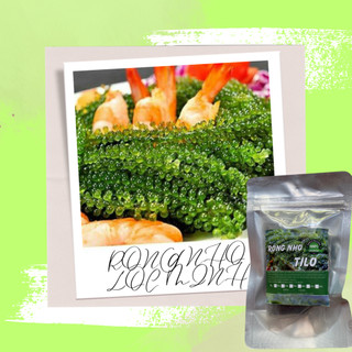 [1kg rong nho tách nước gồm 10 gói 100gr] rong nho tilo, rong nho loại 1, thơm vị biển, giòn, giá mềm dành cho gia đình.