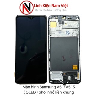 Màn hình hiển thị Ss A51 / A51F / A515 (Pinsen) khung