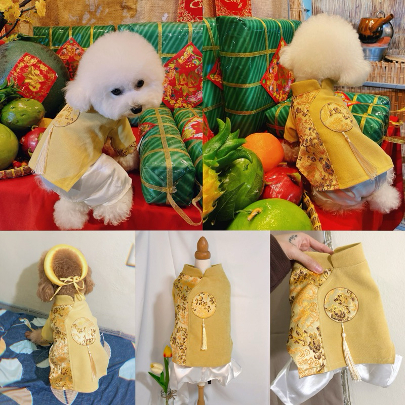 Bộ áo dài Tết cho thú cưng