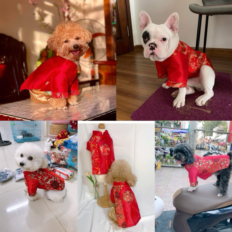Bộ áo dài Tết cho thú cưng