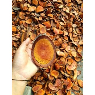 Cây cỏ máu bổ huyết, Cây tăng cân, bồi bổ sức khỏe, đẹp da chuẩn cây lâu năm rừng già