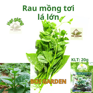 Hạt giống mồng tơi lá lớn