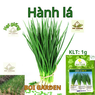 Hạt giống Hành lá 1g