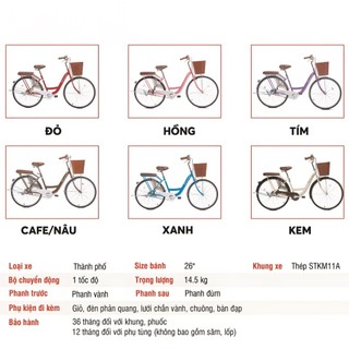 SHIP HỎA TỐC - Xe đạp Mini Thống Nhất
