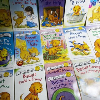 I CAN READ BISCUIT 28q