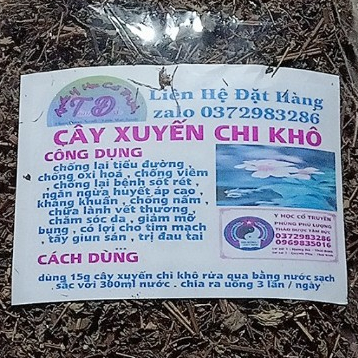 500g cây xuyến chi khô