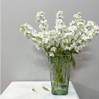 Bình Hoa Thủy Tinh Tái Chế CUP & VASE Cao Cấp Trụ Vuông G143