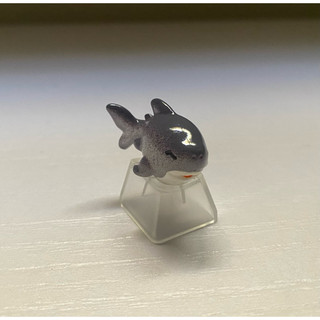 Keycap cá mập xám