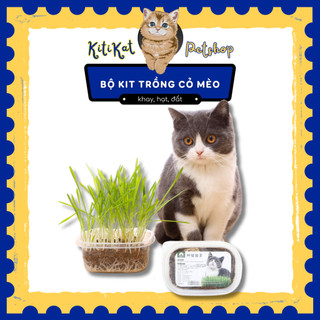 Combo tự trồng cỏ mèo tươi tại nhà Taotaopets, Bộ KIT tự trồng cỏ lúa mạch tươi cho mèo tại nhà