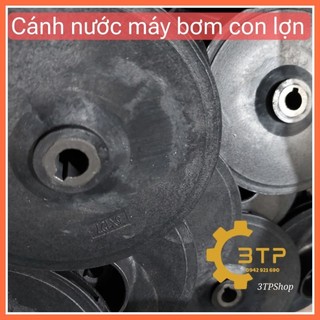 Cánh nước máy bơm con lợn