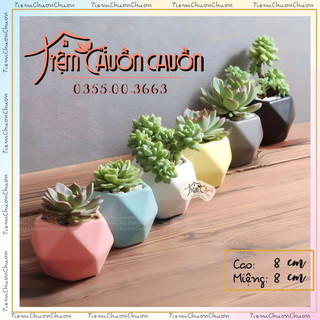 Chậu gốm dáng đa giác 6 màu sắc đẹp, trồng cây sen đá xương rồng chậu sứ bát tràng