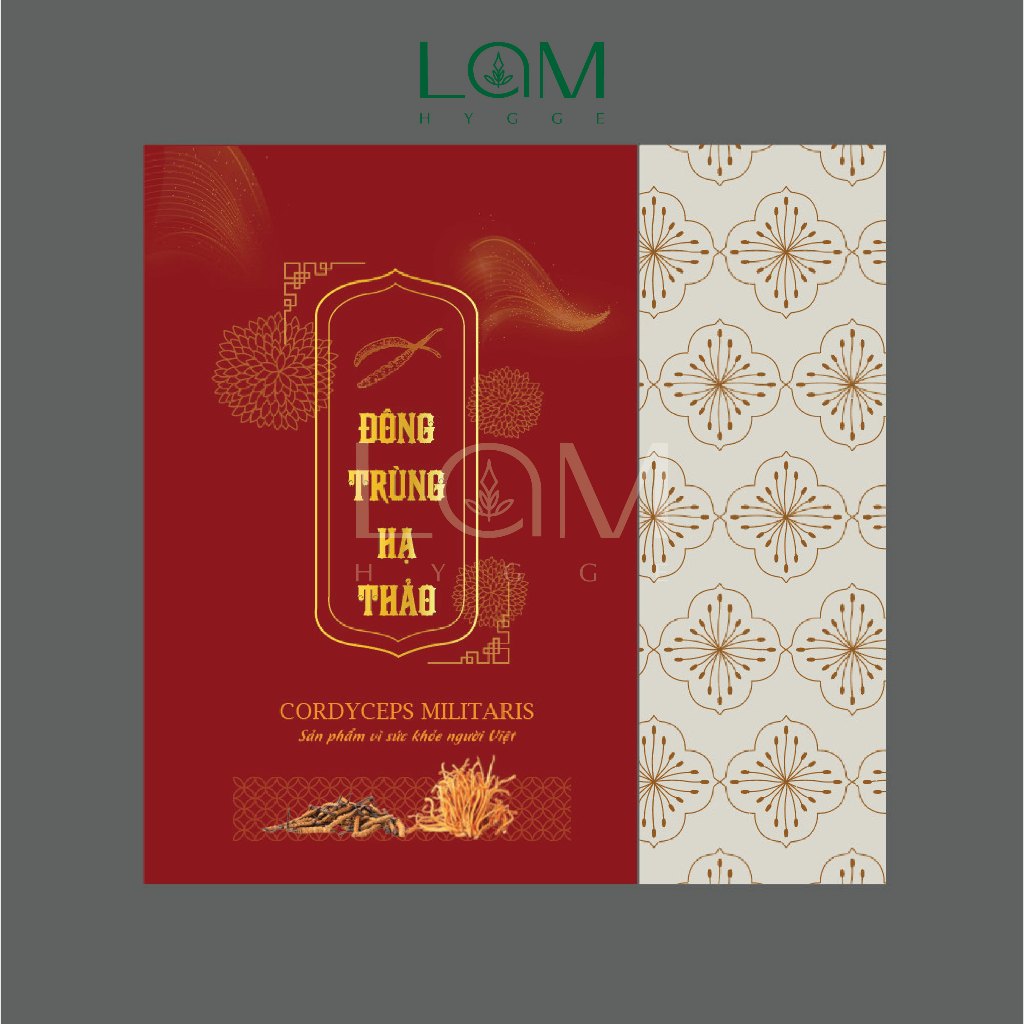 Túi giấy đựng đông trùng hạ thảo 20x30x10