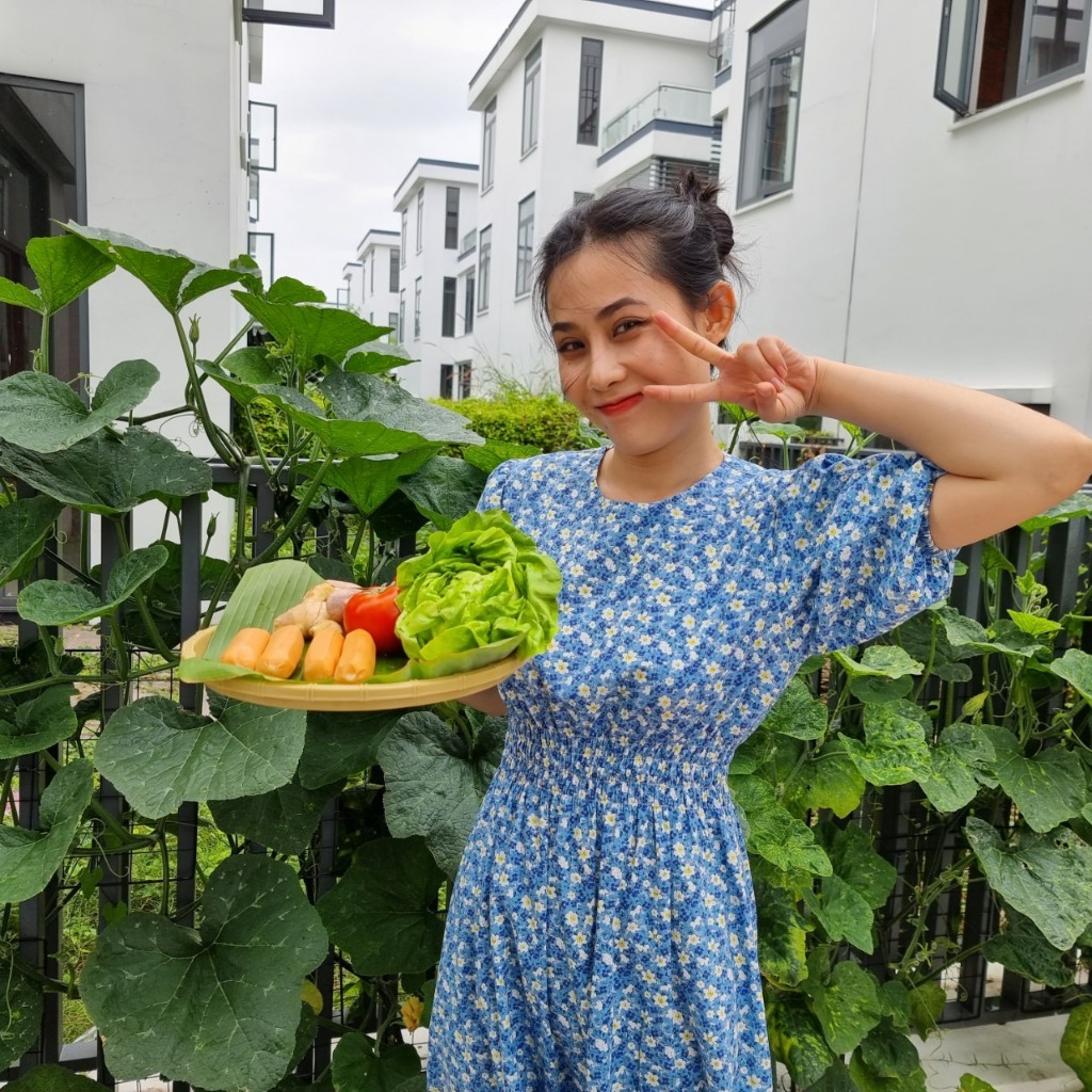 Tinh bột Mì Biến Tính Thái Lan  tạo dai làm chả lụa, xúc xích, bò viên, cá viên