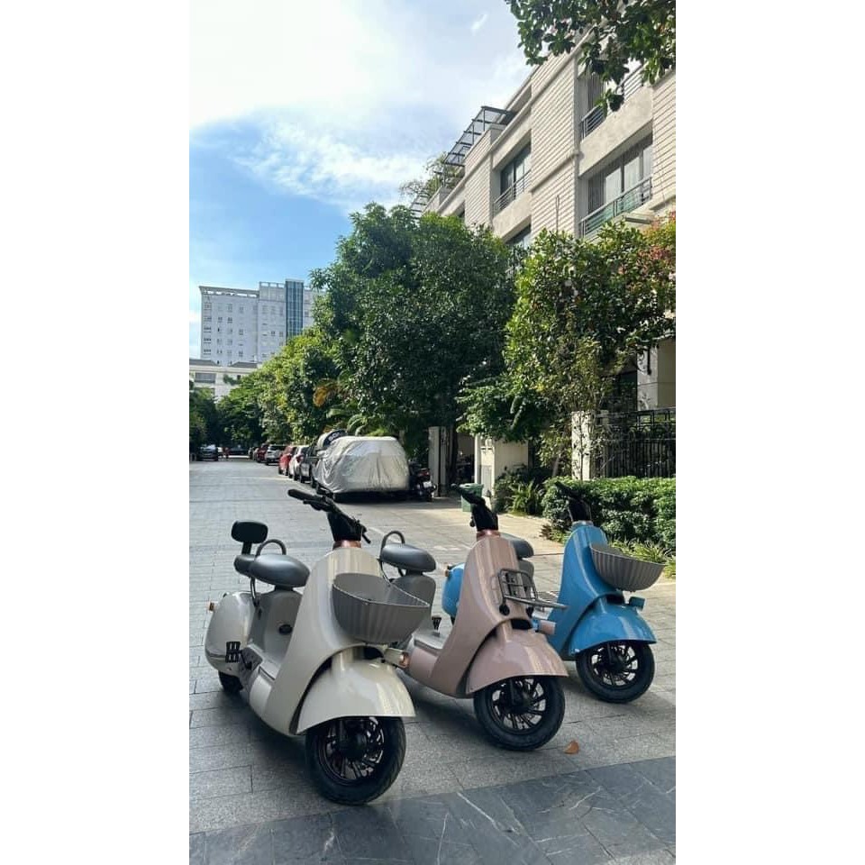 Xe điện TYPE 2, Mẫu xe đạp điện hot nhất 2023, Phong cách thời thượng, BH chính hãng 1 năm