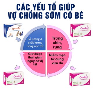 tpbvsk ovaq1, điều kinh, bổ trứng, niêm mạc đẹp, tăng khả năng thụ thai