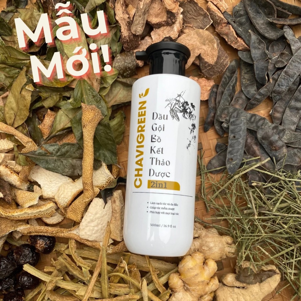 Dầu gội Bồ Kết Thảo Dược 2in1 Chavigreen ngăn rụng tóc kích thích mọc tóc 500ml