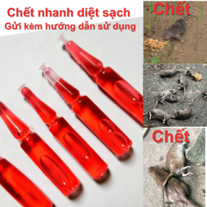 1 lọ thuốc diệt chuột dạng nước loại 1 chuột chết ngay tại chỗ diệt chuột nhanh nhất hiện nay
