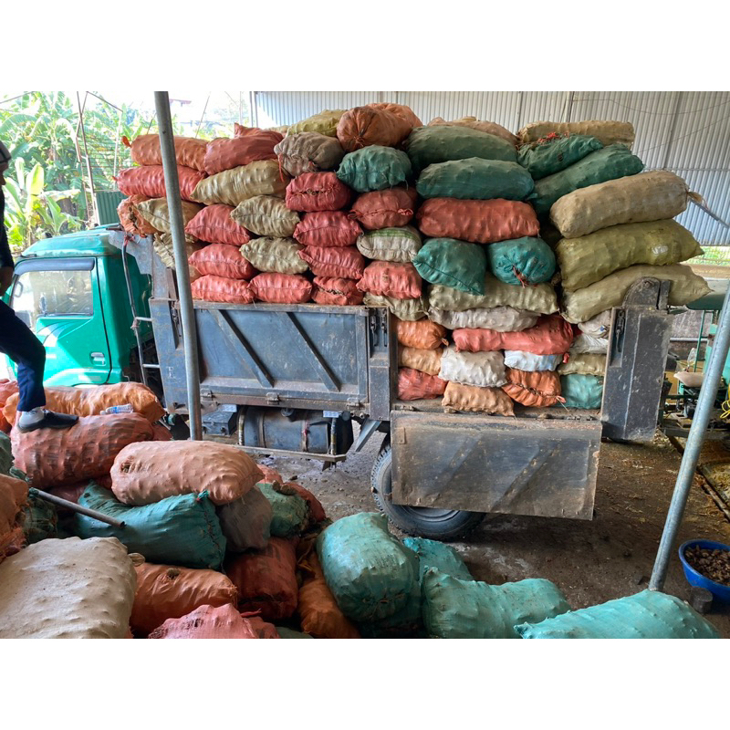 Tinh bột nghệ đen nguyên chất ladoga LADOGA đựng hộp 100 gam, 250gam và 500 gam